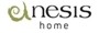 Anesishome logo